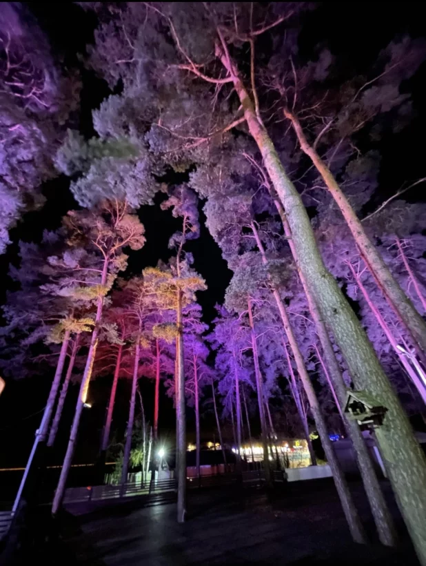 Интерьер/Экстерьер/Банкетная зона/Бар/Стол для двоих/Вход/Главный зал/Lounge зона банкетный зал Runo фото