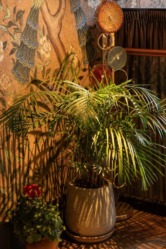 Интерьер/Экстерьер/Банкетная зона/Бар/Стол для двоих/Вход/Главный зал/Lounge зона ресторан Be Italian фото