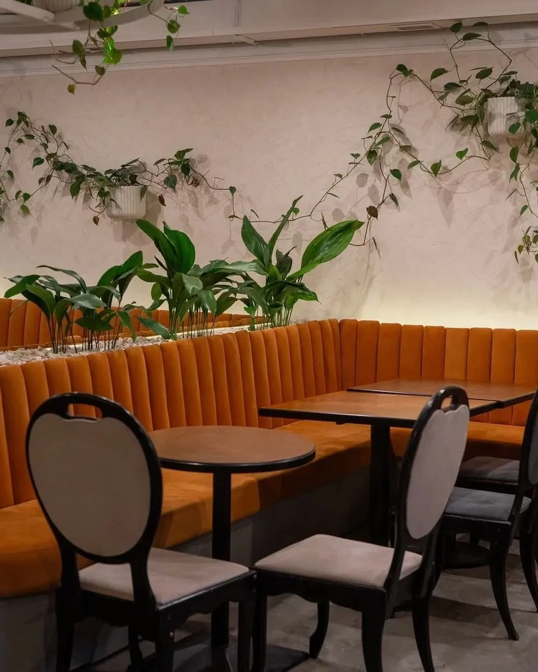 Ami Osteria — ресторан, Ростов-на-Дону