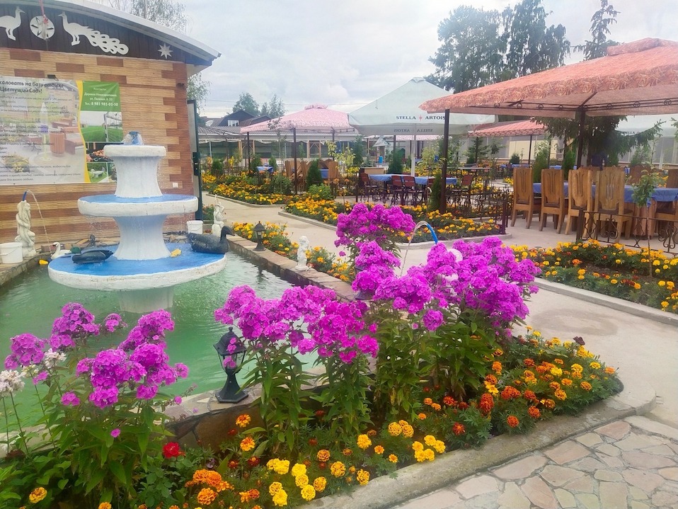 Цветущие сады в Туле. Фото