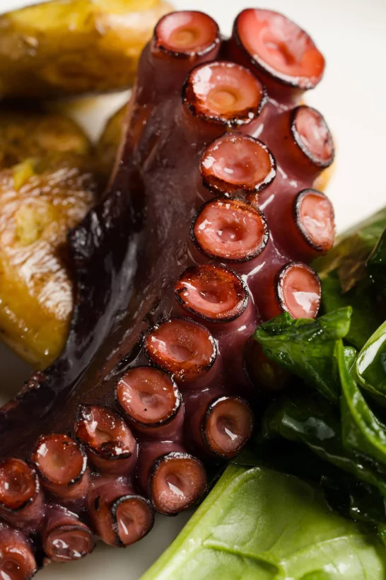 Интерьер/Экстерьер/Банкетная зона/Бар/Стол для двоих/Вход/Главный зал/Lounge зона ресторан Кэф фото