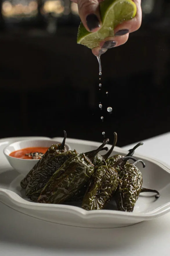 Интерьер/Экстерьер/Банкетная зона/Бар/Стол для двоих/Вход/Главный зал/Lounge зона ресторан Sansa фото