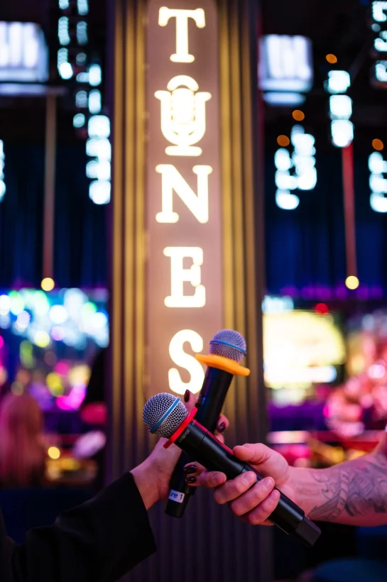 Интерьер/Экстерьер/Банкетная зона/Бар/Стол для двоих/Вход/Главный зал/Lounge зона караоке-клуб Tunes фото