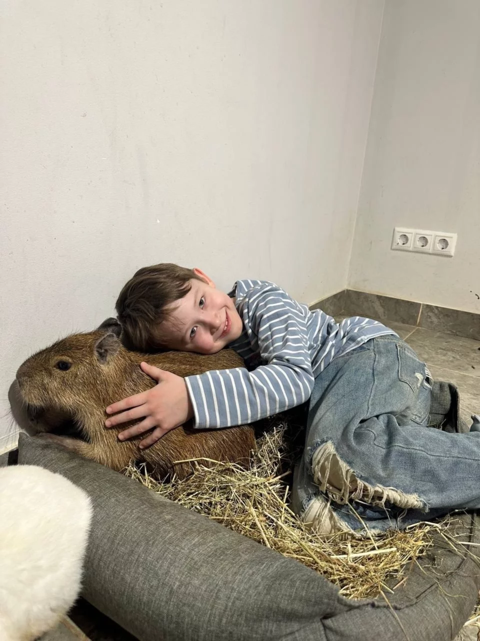 Интерьер/Экстерьер/Банкетная зона/Бар/Стол для двоих/Вход/Главный зал/Lounge зона антикафе Бар Капибар фото