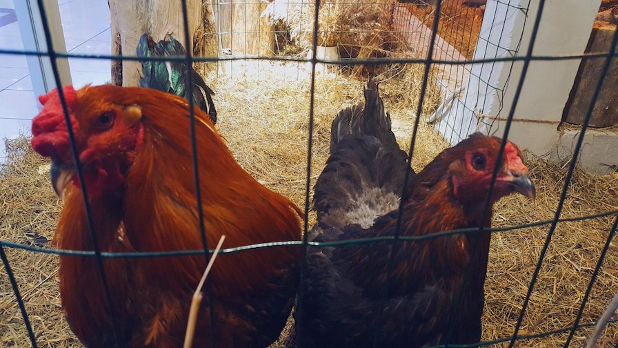 749681124aebaf9f58dd1b4354c20c0f