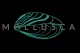Mollusca Group